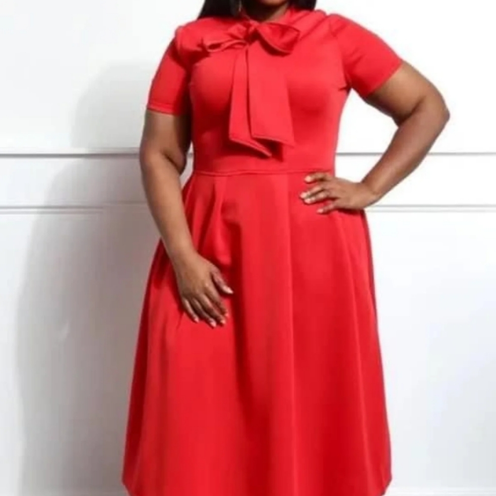 Red Fit and Flare dress